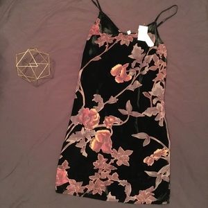 Gianni Bini Velvet Dress